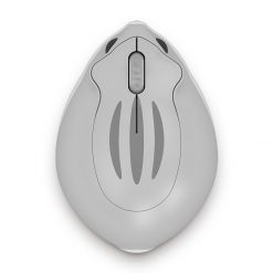 chuot-khong-day-akko-hamster-plus-taro-03