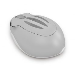 chuot-khong-day-akko-hamster-plus-taro-05