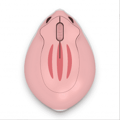 chuot-khong-day-akko-hamster-plus-momo-02