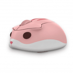 chuot-khong-day-akko-hamster-plus-momo-04