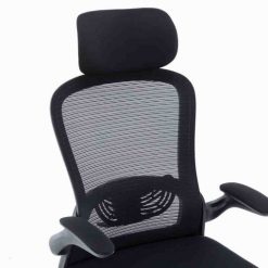 ghe-cong-thai-hoc-ergonomic-warrior-pawn-series-wec105-black-11