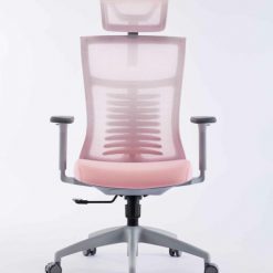 ghe-cong-thai-hoc-ergonomic-warrior-hero-series-wec502-plus-black-02