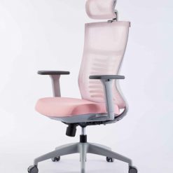 ghe-cong-thai-hoc-ergonomic-warrior-hero-series-wec502-plus-black-05