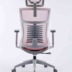 ghe-cong-thai-hoc-ergonomic-warrior-hero-series-wec502-plus-black-07