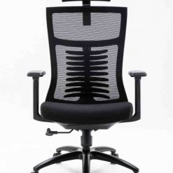 ghe-cong-thai-hoc-ergonomic-warrior-hero-series-wec502-plus-black-15