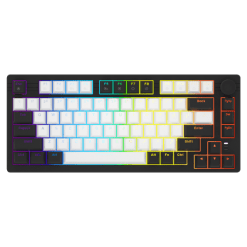 ban-phim-co-gaming-dareu-ek75-2-sides-rgb-strip-dareu-dream-sw-type-c-02