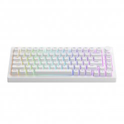 ban-phim-akko-5075b-plus-white-multi-modes-rgb-gasket-mount-01